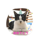 ツキちゃんのスタンプ（個別スタンプ：6）