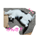 ツキちゃんのスタンプ（個別スタンプ：7）