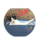 ツキちゃんのスタンプ（個別スタンプ：10）