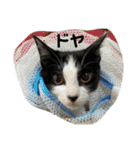 ツキちゃんのスタンプ（個別スタンプ：13）