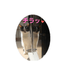 ツキちゃんのスタンプ（個別スタンプ：14）