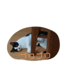 ツキちゃんのスタンプ（個別スタンプ：23）