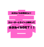 ホタイカ君（個別スタンプ：8）