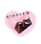 くつ下にゃんこ 小町（個別スタンプ：16）