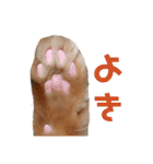 こたつ1（個別スタンプ：2）