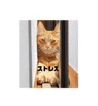 こたつ1（個別スタンプ：5）