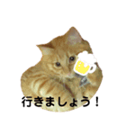 こたつ1（個別スタンプ：12）