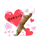 こたつ1（個別スタンプ：22）