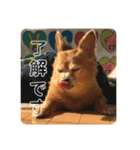 チワックスりょうまくん（個別スタンプ：3）