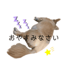 チワックスりょうまくん（個別スタンプ：8）
