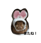 うさぎとねこ24（個別スタンプ：22）