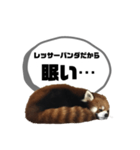 レッサーパンダだからと言い訳するスタンプ（個別スタンプ：2）