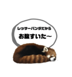 レッサーパンダだからと言い訳するスタンプ（個別スタンプ：3）