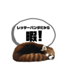 レッサーパンダだからと言い訳するスタンプ（個別スタンプ：5）