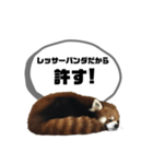 レッサーパンダだからと言い訳するスタンプ（個別スタンプ：14）