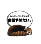 レッサーパンダだからと言い訳するスタンプ（個別スタンプ：23）