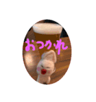 羊毛フェルトのイカ軍団（個別スタンプ：9）