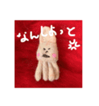 羊毛フェルトのイカ軍団（個別スタンプ：12）