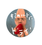 羊毛フェルトのイカ軍団（個別スタンプ：19）