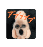 羊毛フェルトのイカ軍団（個別スタンプ：21）