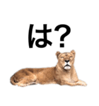 実写な動物（個別スタンプ：2）