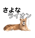 実写な動物（個別スタンプ：32）