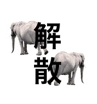 実写な動物（個別スタンプ：37）