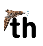 実写な動物（個別スタンプ：38）