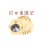 ほたるスタンプ2号（個別スタンプ：10）