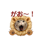 ほたるスタンプ2号（個別スタンプ：13）