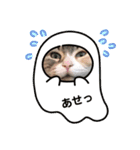 ほたるスタンプ2号（個別スタンプ：16）