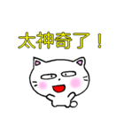 良く使う言葉中国語簡体字 白猫のミャウ（個別スタンプ：21）