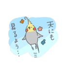 オカメインコもも（個別スタンプ：10）