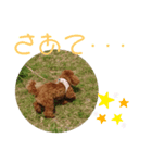 ティナのスタンプ15（個別スタンプ：3）