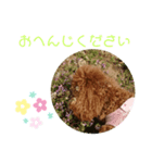 ティナのスタンプ15（個別スタンプ：4）