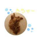 ティナのスタンプ15（個別スタンプ：5）