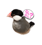 チビファミリー❣️（個別スタンプ：1）