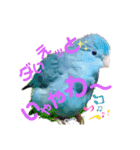 チビファミリー❣️（個別スタンプ：3）