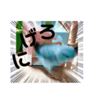 チビファミリー❣️（個別スタンプ：7）