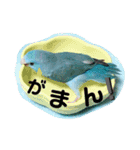 チビファミリー❣️（個別スタンプ：8）