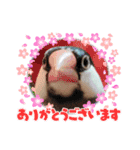 チビファミリー❣️（個別スタンプ：11）