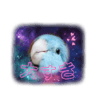 チビファミリー❣️（個別スタンプ：12）