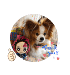 ぱぴぱぴパピヨン19（個別スタンプ：5）