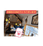 ぱぴぱぴパピヨン19（個別スタンプ：10）