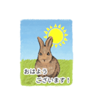 茶色のうさぎ（敬語）（たんぽぽ）（個別スタンプ：1）