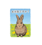 茶色のうさぎ（敬語）（たんぽぽ）（個別スタンプ：8）