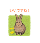 茶色のうさぎ（敬語）（たんぽぽ）（個別スタンプ：16）