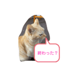 がんばれ、れもんちゃん5（個別スタンプ：2）