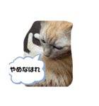 がんばれ、れもんちゃん5（個別スタンプ：6）