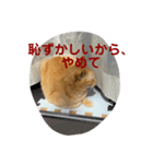 がんばれ、れもんちゃん5（個別スタンプ：8）